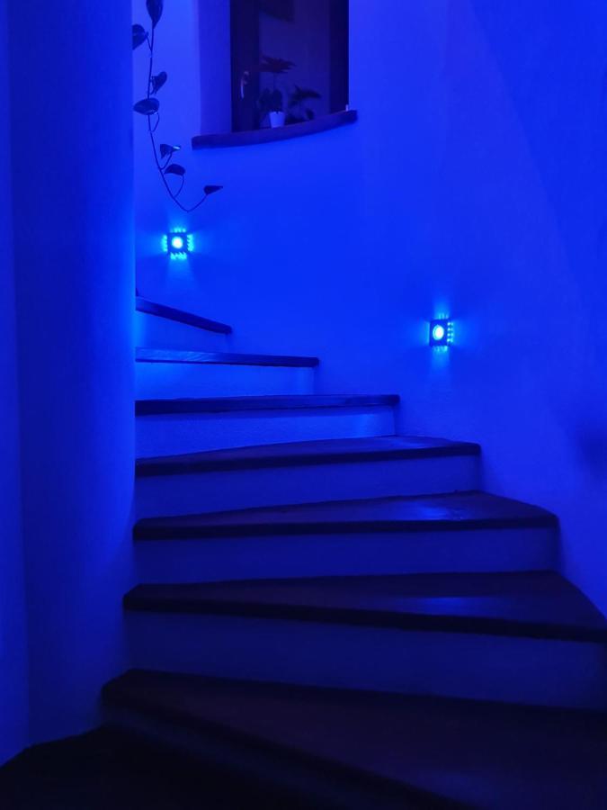 Villa La Tour Nus Luaran gambar