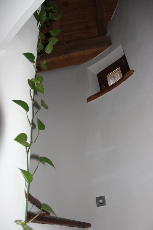 Villa La Tour Nus Luaran gambar